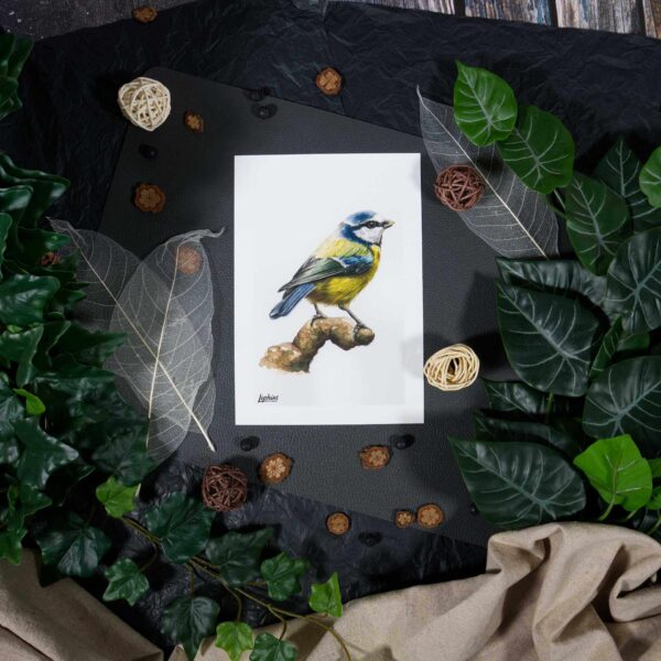 Kunstdruck | Blue Tit – Smarter Than It Looks