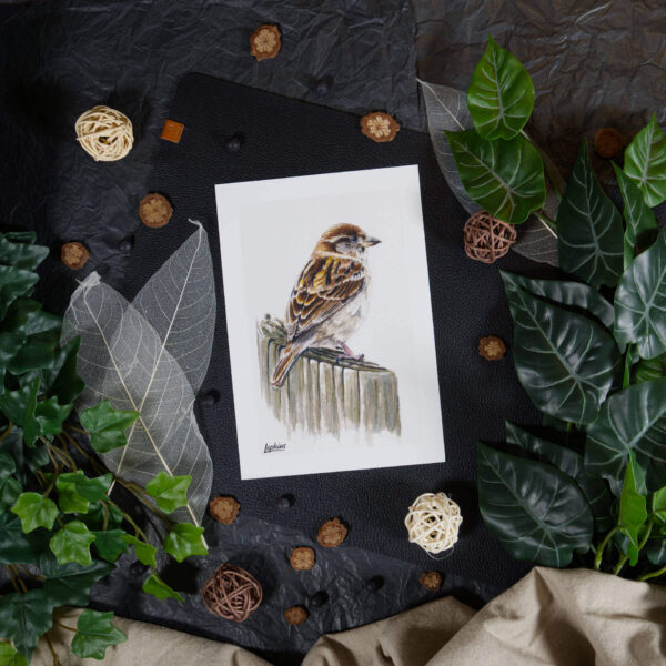 Kunstdruck | Sparrow – Wherever the Crumbs Fall