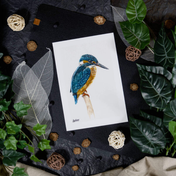 Kunstdruck | Kingfisher – Made of Light