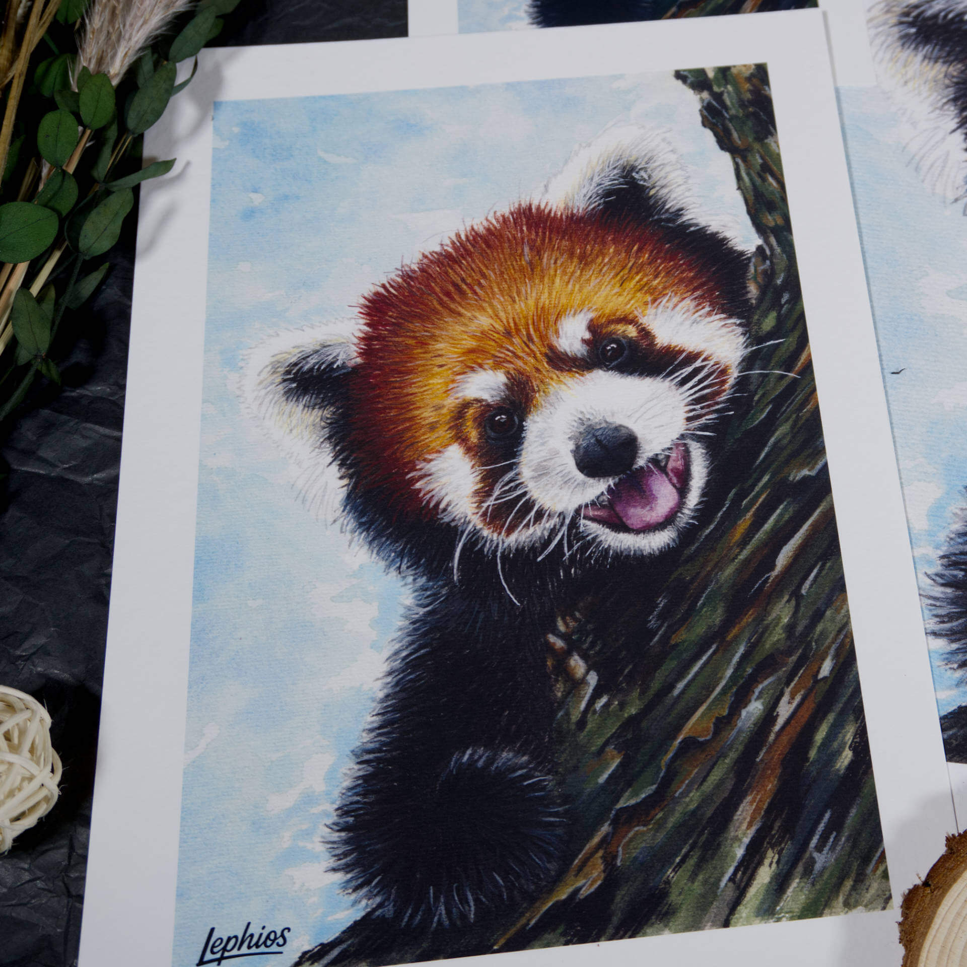 Kunstdruck | Red Panda – Taking a Break – Bild 5