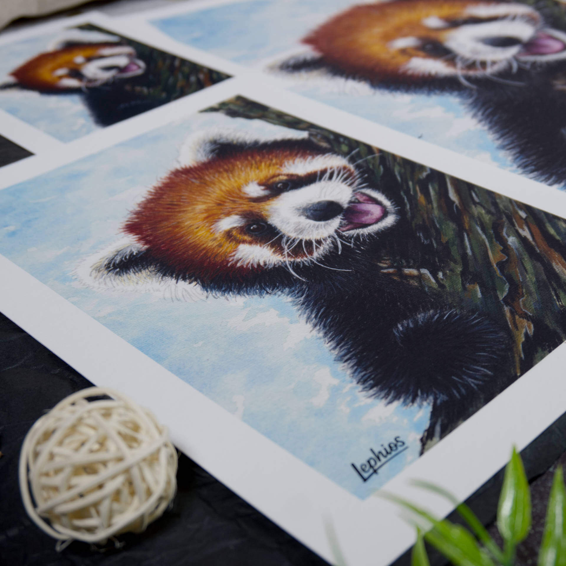 Kunstdruck | Red Panda – Taking a Break – Bild 3