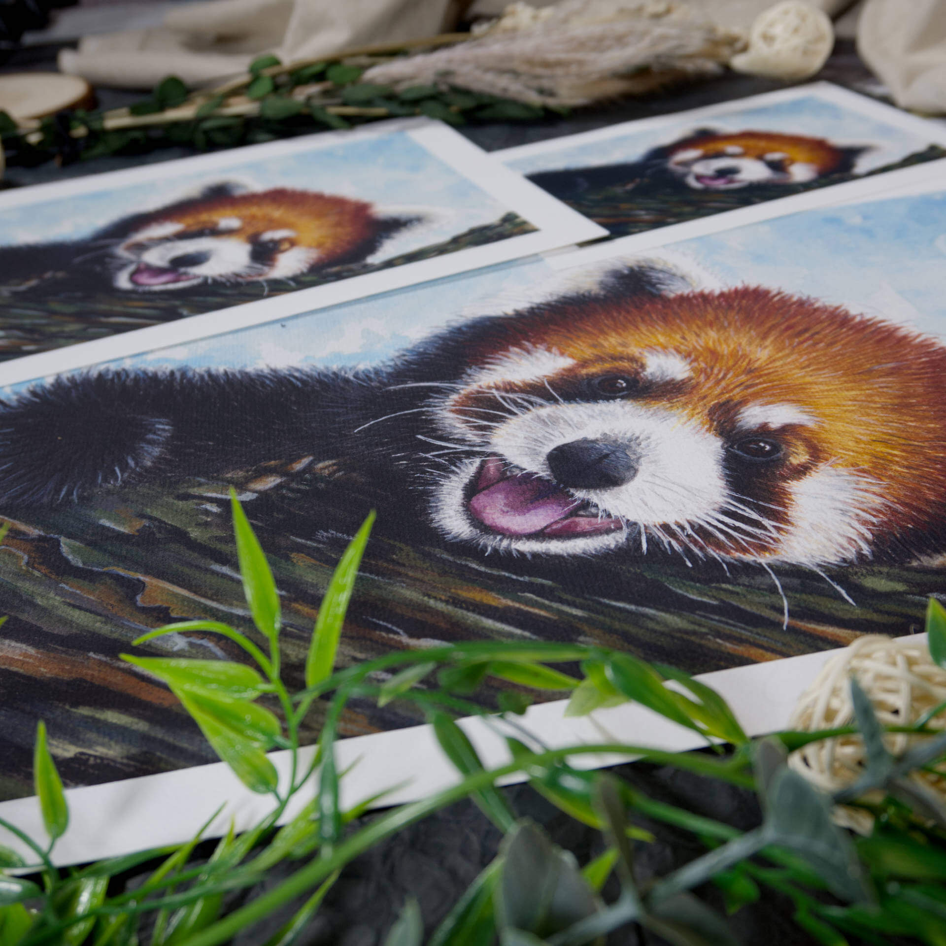 Kunstdruck | Red Panda – Taking a Break – Bild 2