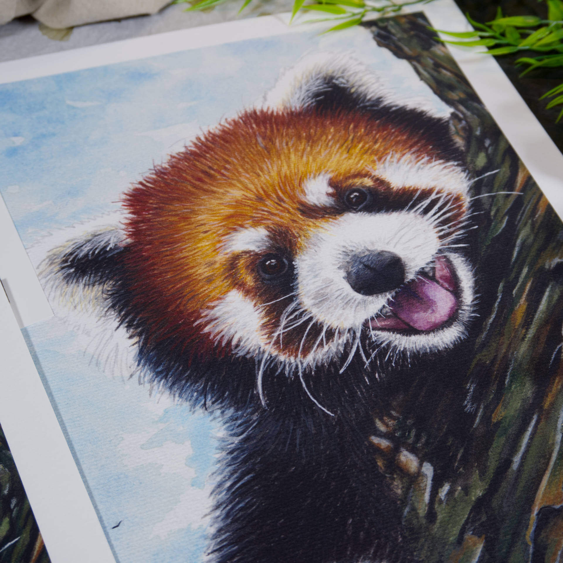 Kunstdruck | Red Panda – Taking a Break – Bild 4