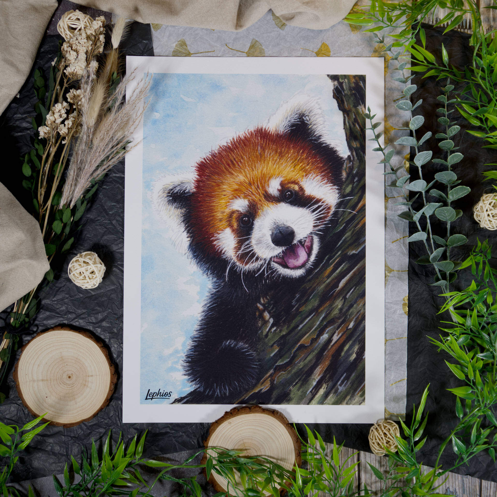 Kunstdruck | Red Panda – Taking a Break – Bild 6