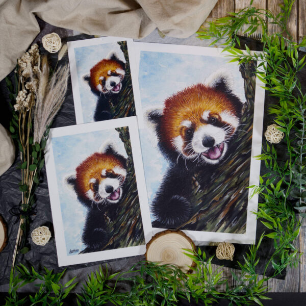 Kunstdruck | Red Panda – Taking a Break