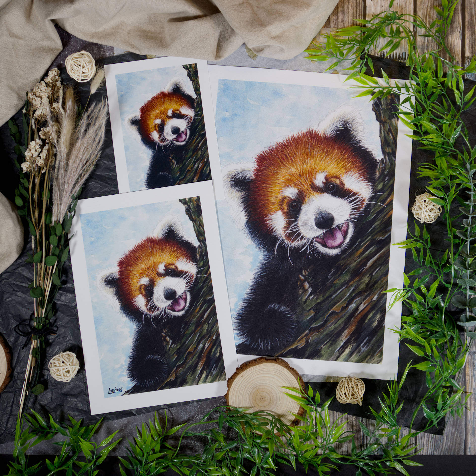 Kunstdruck | Red Panda – Taking a Break