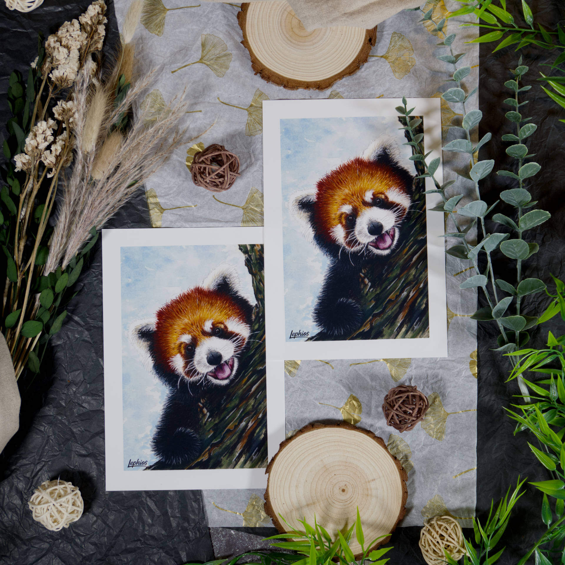 Kunstdruck | Red Panda – Taking a Break – Bild 8