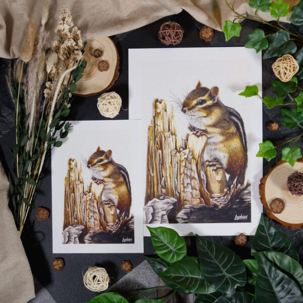 Kunstdruck | Chipmunk – Weathered Wood