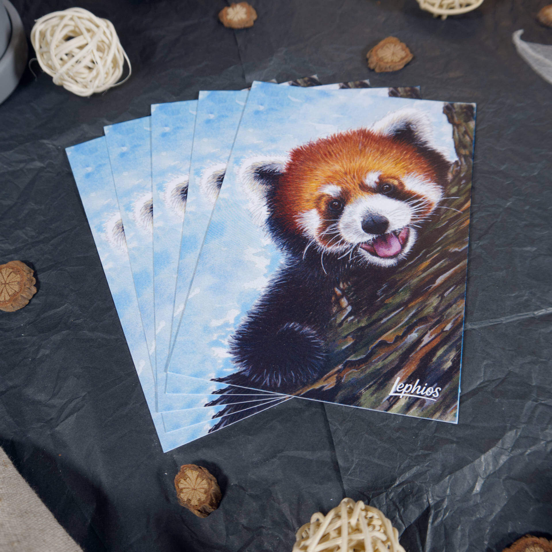 Postkarte | Red Panda – Taking a Break – Bild 3