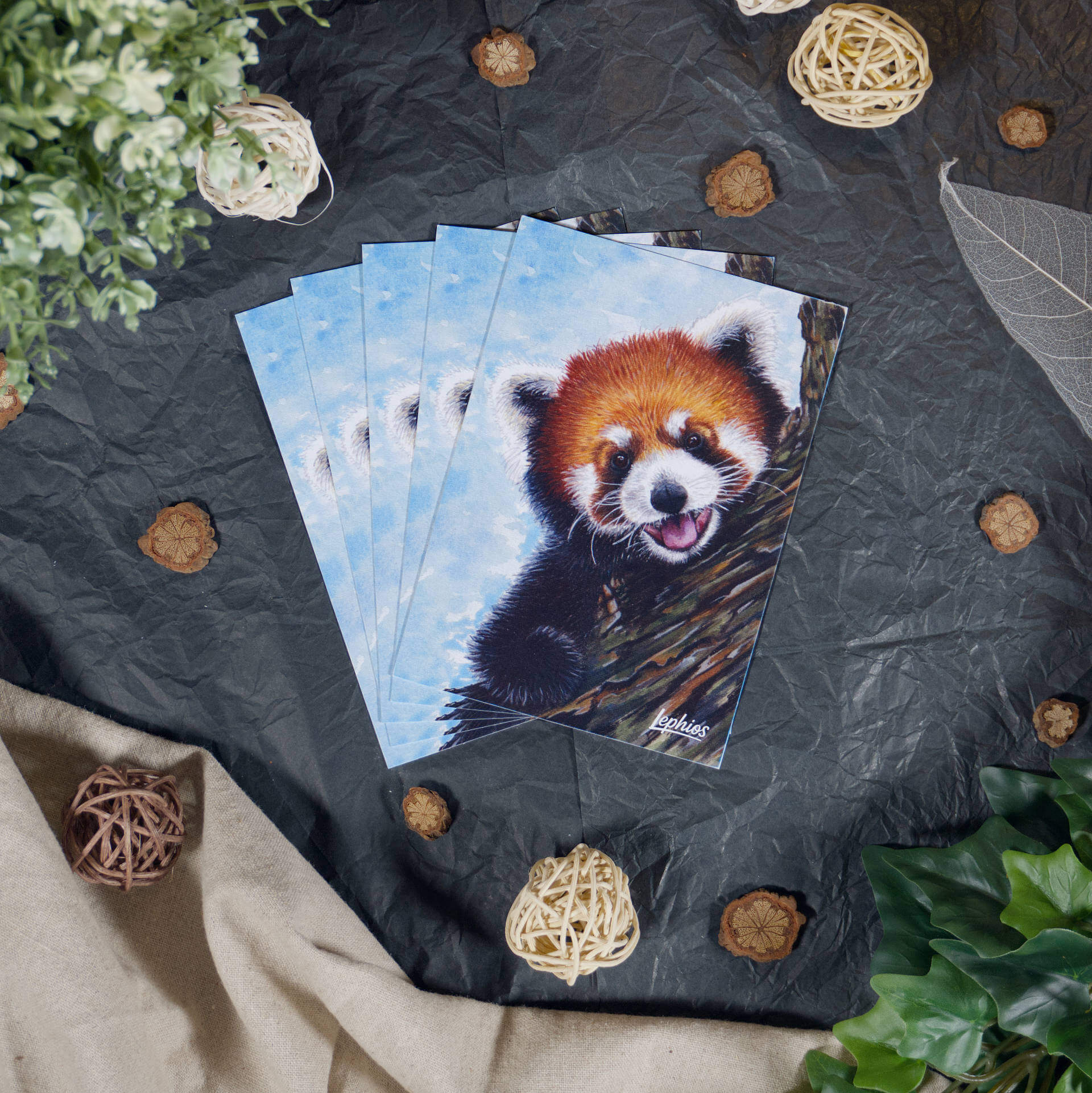 Postkarte | Red Panda – Taking a Break – Bild 2