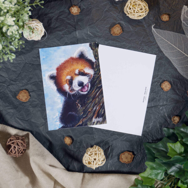 Postkarte | Red Panda – Taking a Break