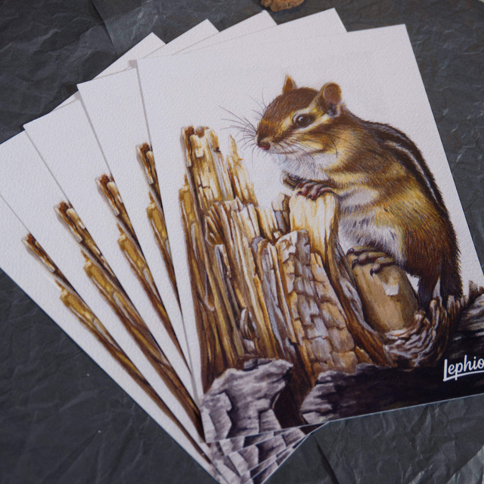 Postkarte | Chipmunk – Weathered Wood – Bild 3