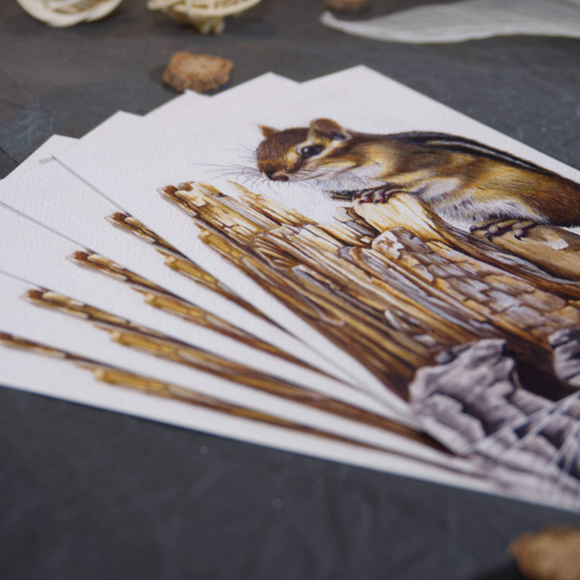 Postkarte | Chipmunk – Weathered Wood – Bild 4