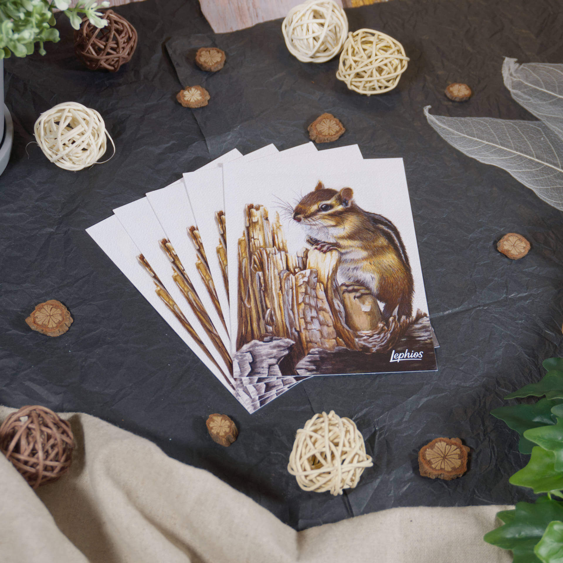 Postkarte | Chipmunk – Weathered Wood – Bild 6
