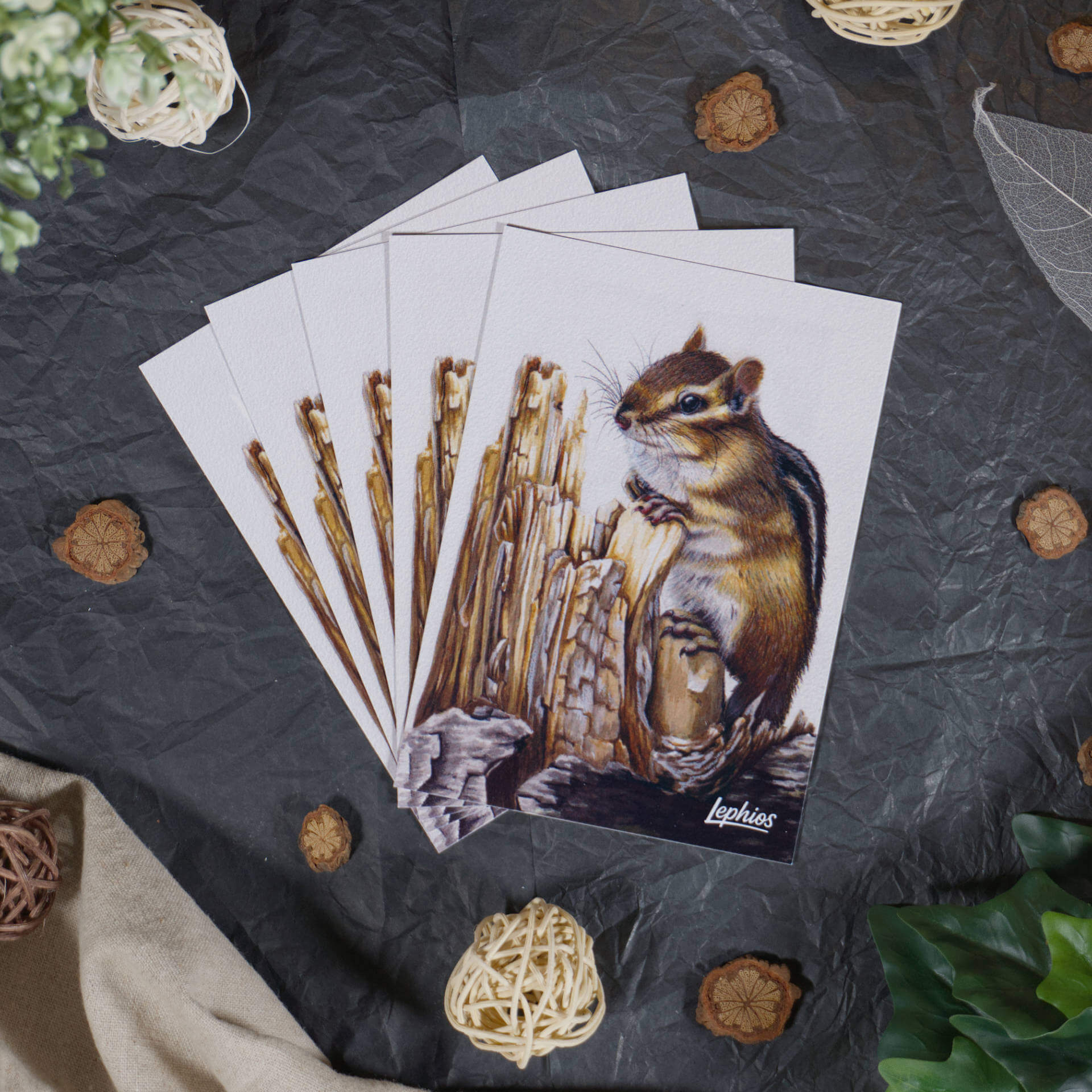 Postkarte | Chipmunk – Weathered Wood – Bild 2
