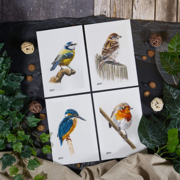 Kunstdruck | Set von Vögeln