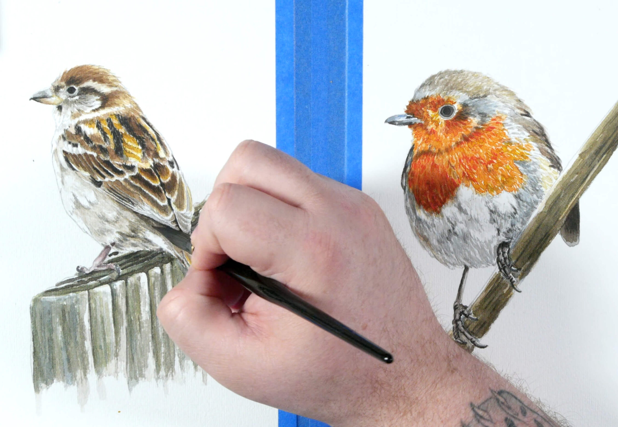 Portfolio_WIP_Birds